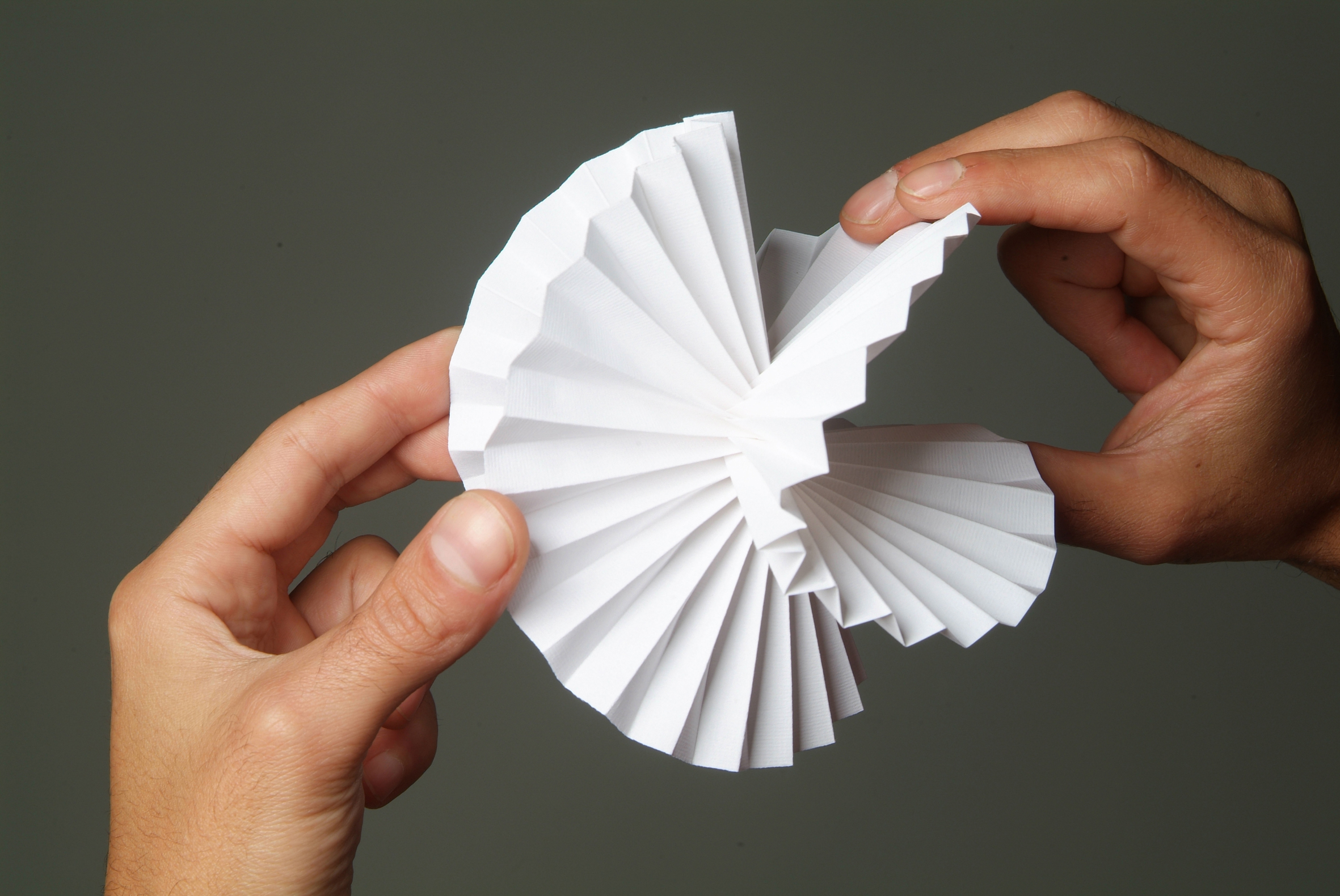 https://summerschoolticino.ch/from-sheet-to-form-a-folding-masterclass-with-paul-jackson