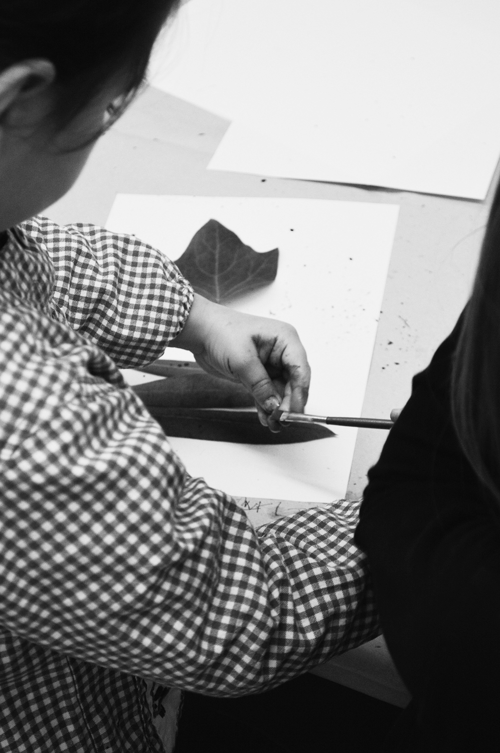 https://summerschoolticino.ch/lab-laboratorio-di-cultura-urbana-stampa-botanica-con-eugenia-dal-bianco