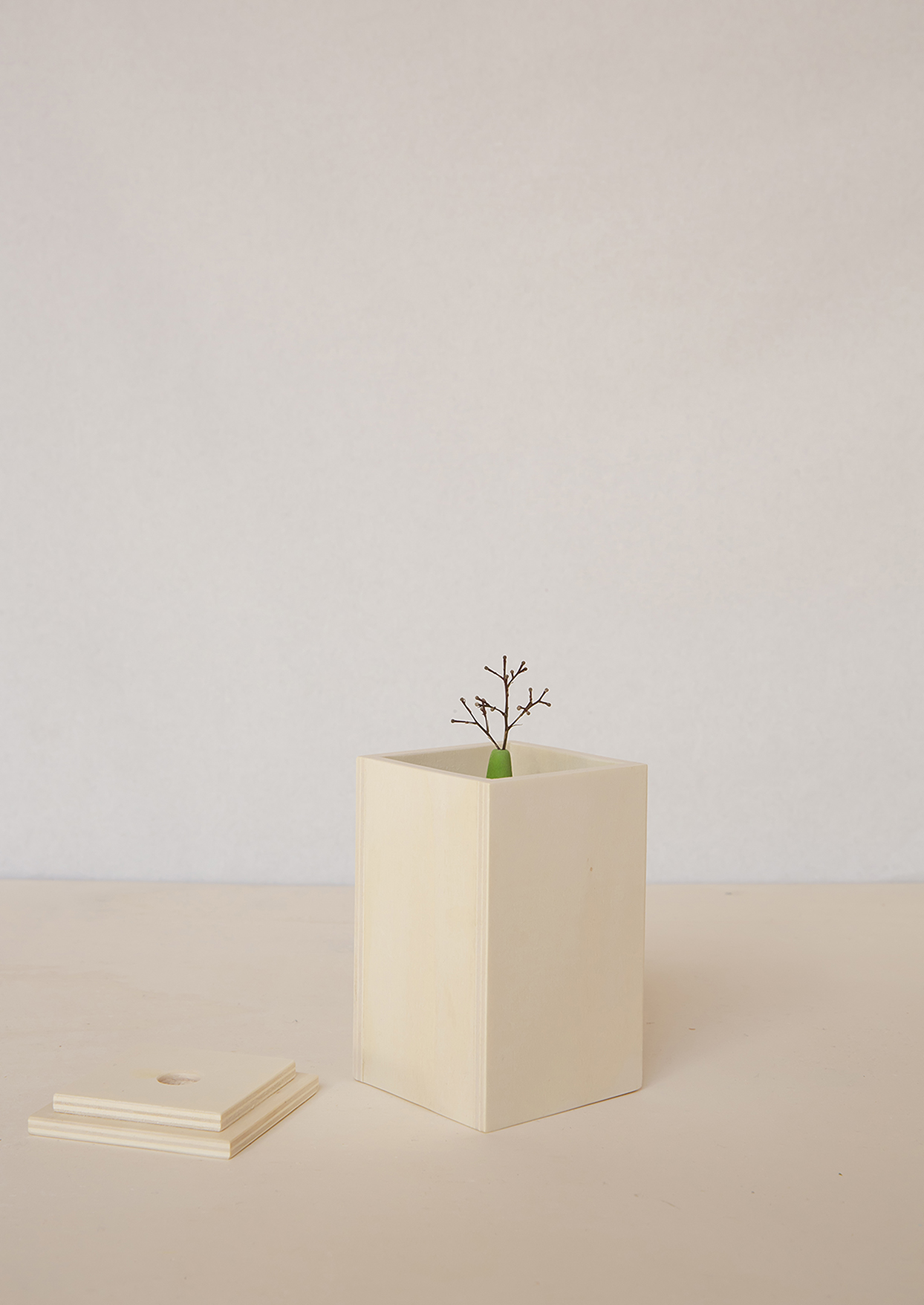 https://summerschoolticino.ch/mostra-la-casa-che-cresce-di-pietro-stolz